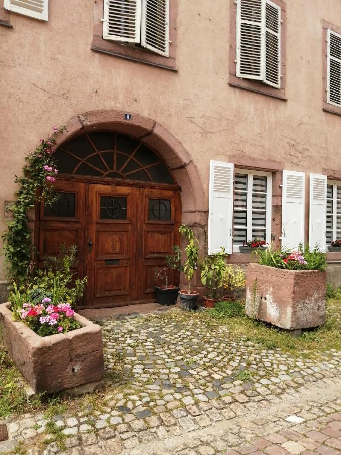 Gite Le Patio Kaysersberg-Vignoble Bagian luar foto